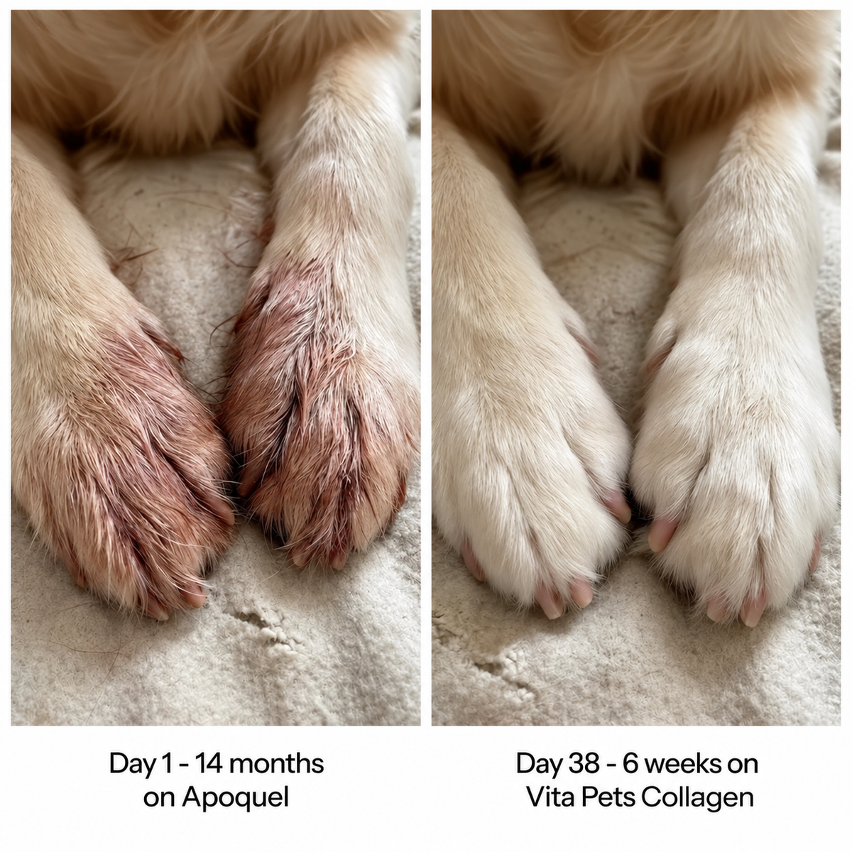 Vita Pets Premium Liquid Collagen