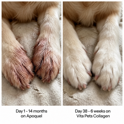Vita Pets Premium Liquid Collagen