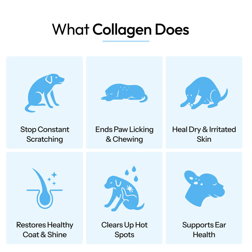Vita Pets Premium Liquid Collagen